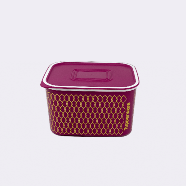 Baseline_Canister