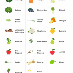 Tupperware-ventsmart-mini