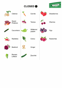 Tupperware-ventsmart-mini